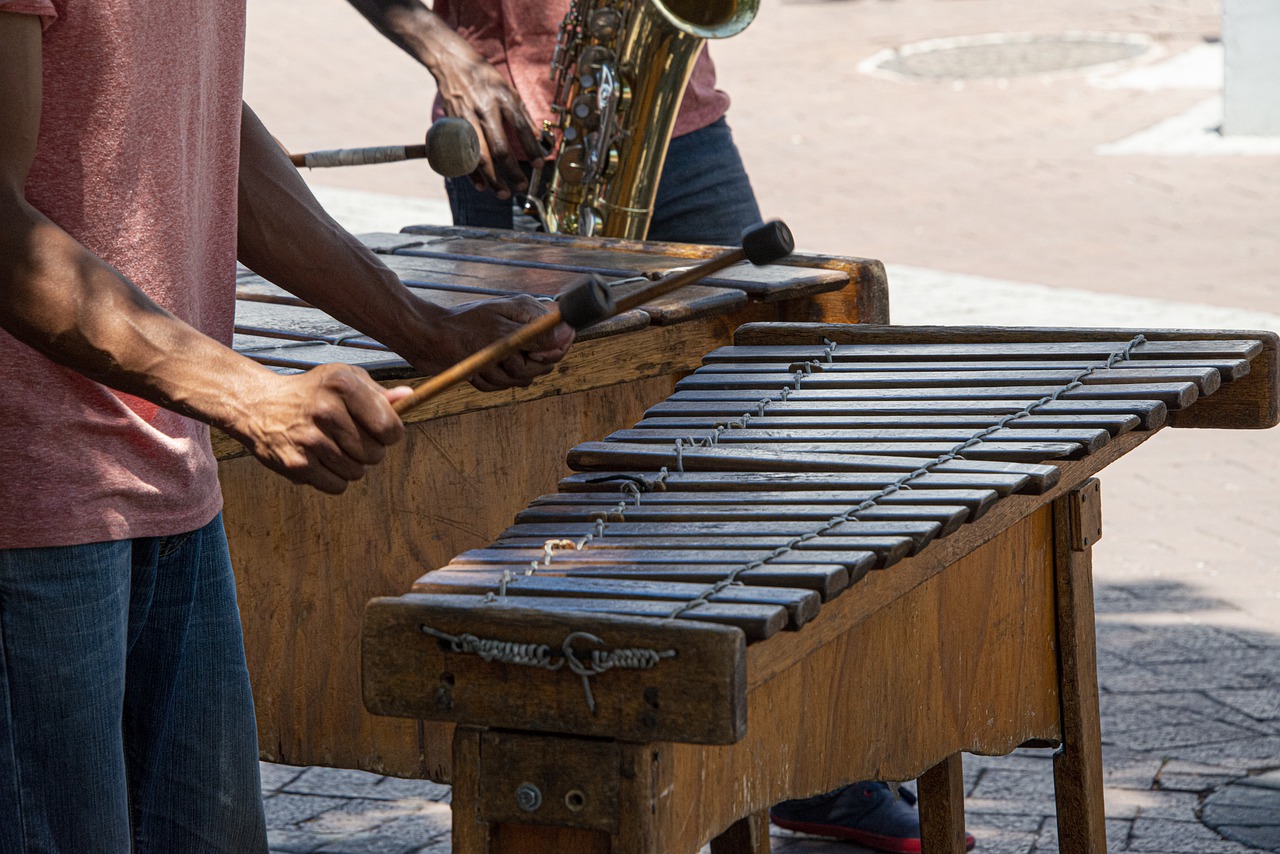 What is Marimba Instrument ?