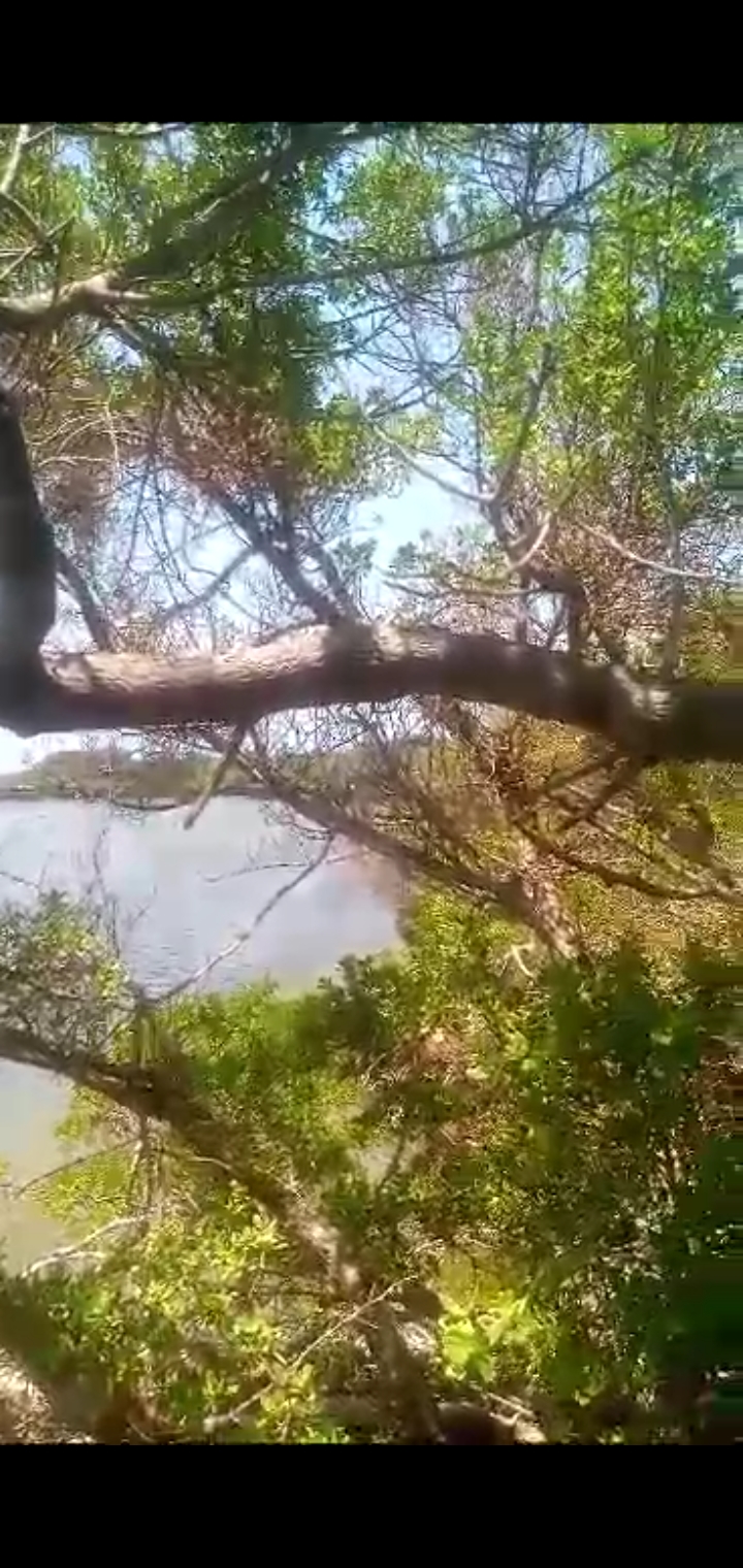 Funzi Island beach plot on sale Sino Soft Classifieds