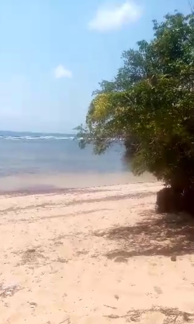 Funzi Island beach plot on sale Sino Soft Classifieds