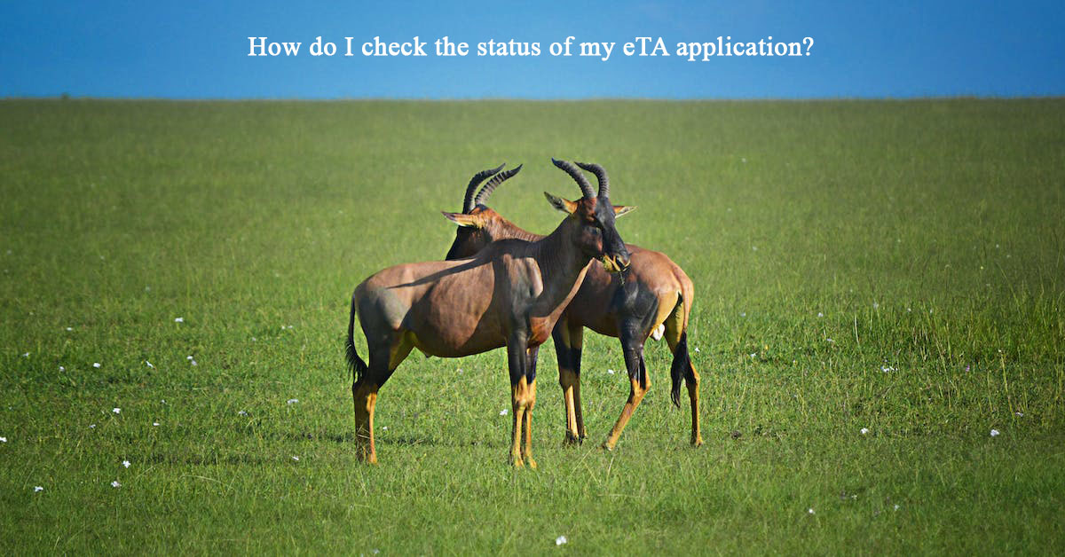 How do I check the status of my eTA application?