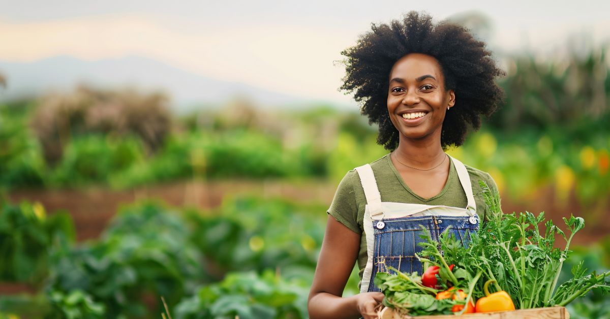 How to do a title deed search online in 2024