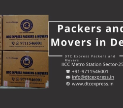Packers and Movers in Delhi