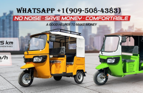 Wholesale Suppliers of Bajaj, TVS King Tricycle