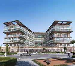 Real Estate Developer in Dubai