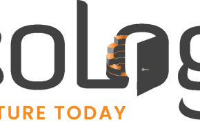 Businesses Tailored SEO Solutions for Growth and Success