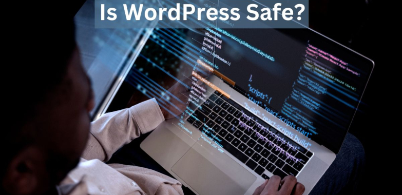 The Vulnerabilities of WordPress CMS