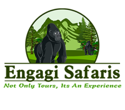 Engagi Safaris