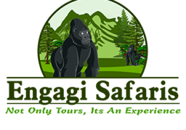Engagi Safaris