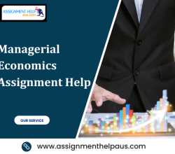 No-1 Managerial Economics Assignment Help from Assignment Help