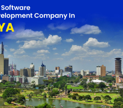 Best Custom Software Service Providers in Kenya