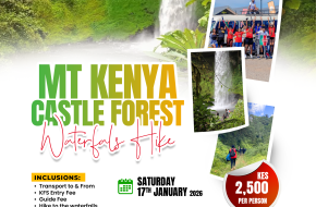 MT KENYA CASTLE FOREST
