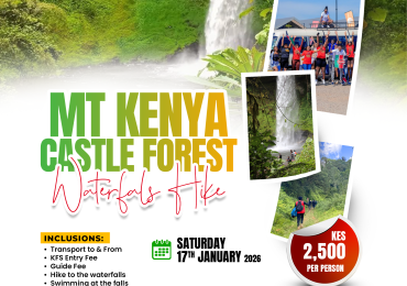 MT KENYA CASTLE FOREST