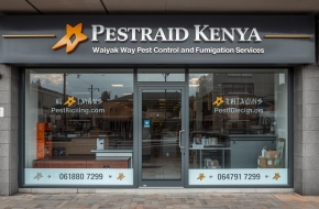 Pestraid Kenya | Muthaiga Pest Control and Fumigation Services