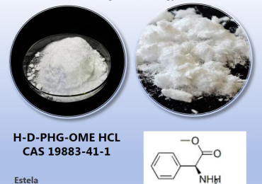 Hebei Weibang Biotechnology Co., Ltd.