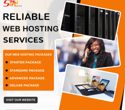 Website Hosting Services.