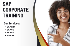 SAP ERP Training for Beginners: Building a Strong Foundation in South Africa
