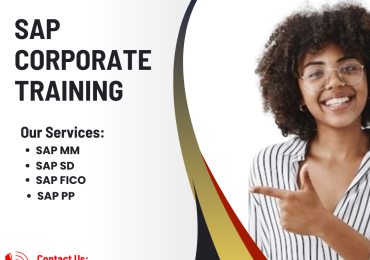 SAP ERP Training for Beginners: Building a Strong Foundation in South Africa