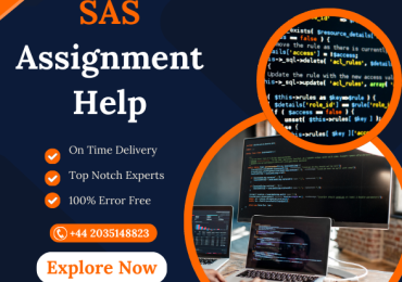 High Quality SAS Assignment Help from professional Experts