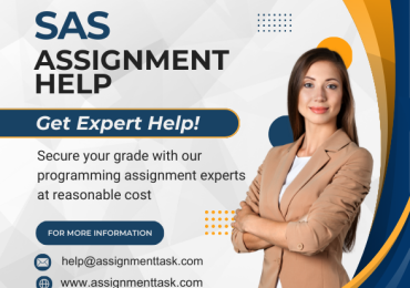 Looking for SAS Assignment Help from Programming Experts