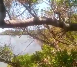 Funzi Island beach plot on sale