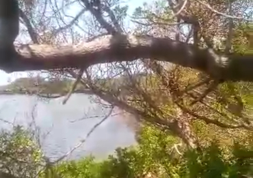 Funzi Island beach plot on sale