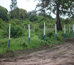 Vacant Land in Diani