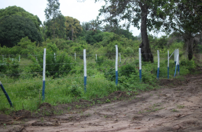 Vacant Land in Diani