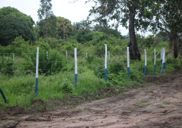 Vacant Land in Diani