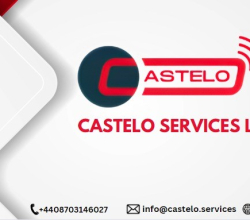 Revolutionize Your Data Management with Castelo Services!