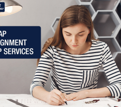 Is 24/7 assignment help truly effective for students?