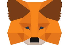 Metamask Wallet Extension