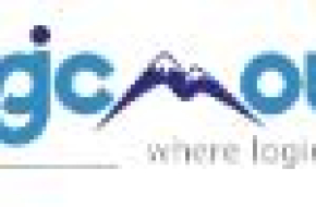 Harness the Full Power of Salesforce Order Management System