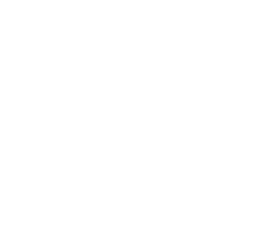 Mobitising