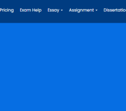 Cheap Nursing Essay Help UK