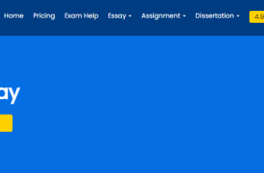 Cheap Nursing Essay Help UK
