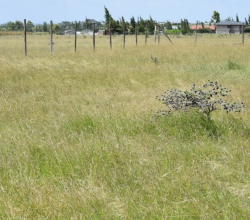 Komarock Masokani Plots for Sale!