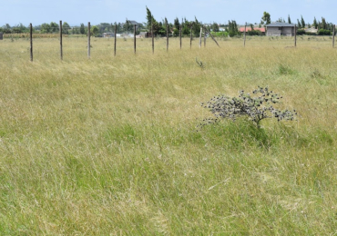 Komarock Masokani Plots for Sale!