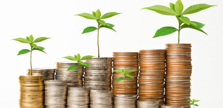 Difference Between SACCOs and Microfinance Institutions