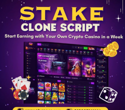 High-ROI Casino Startup Solution – Whitelabel Stake Clone Software