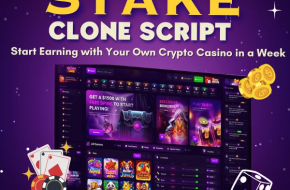 High-ROI Casino Startup Solution – Whitelabel Stake Clone Software